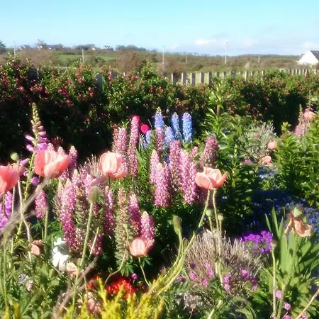 Atlantic Way Bed & Breakfast Grange (Sligo)
